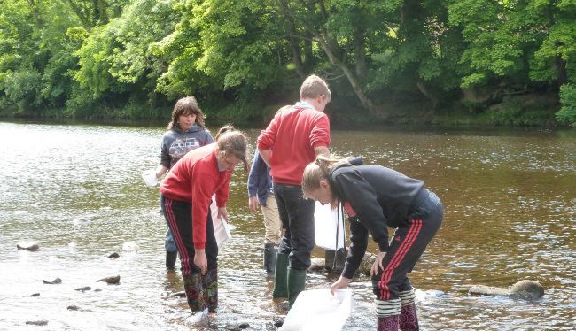 river dipping take a challenge