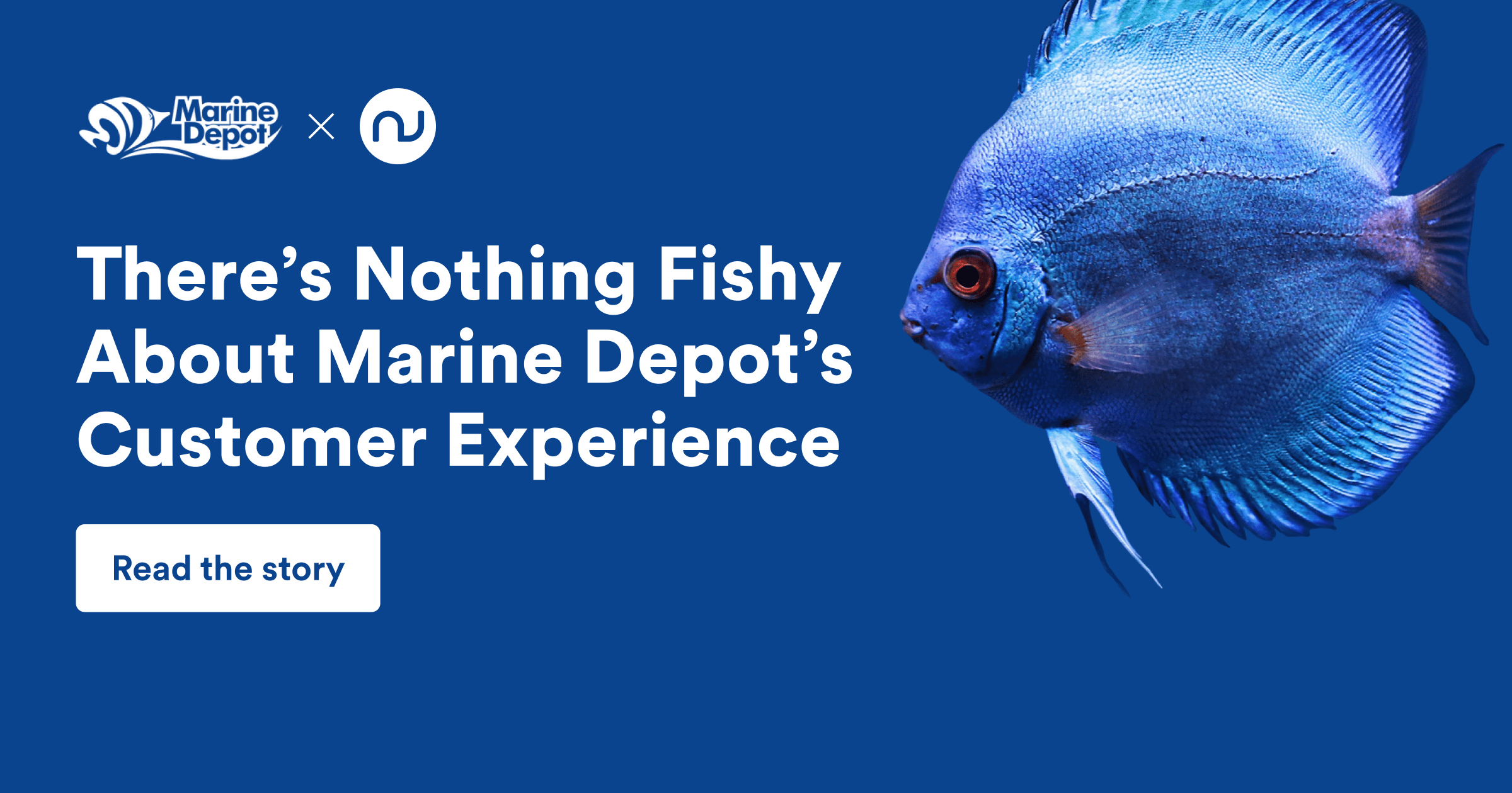There’s Nothing Fishy About Marine Depot’s Customer Experience