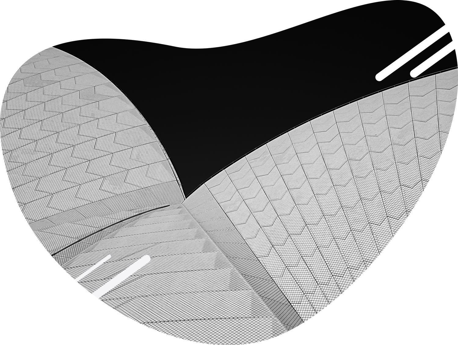 Premier Auto Detailing LLC