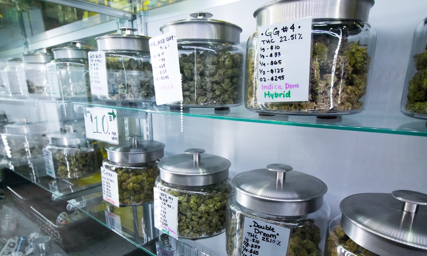 The Challenges of Cannabis Marketing A Dispensary Survey