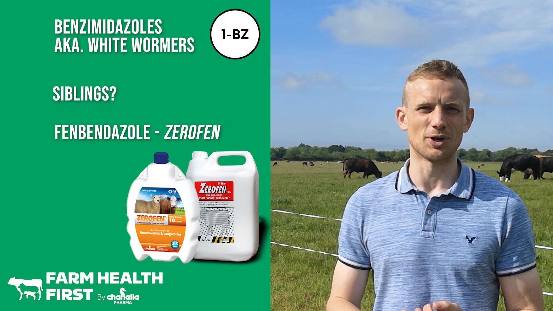 Wormer Classes for Cattle and Sheep - White Wormers