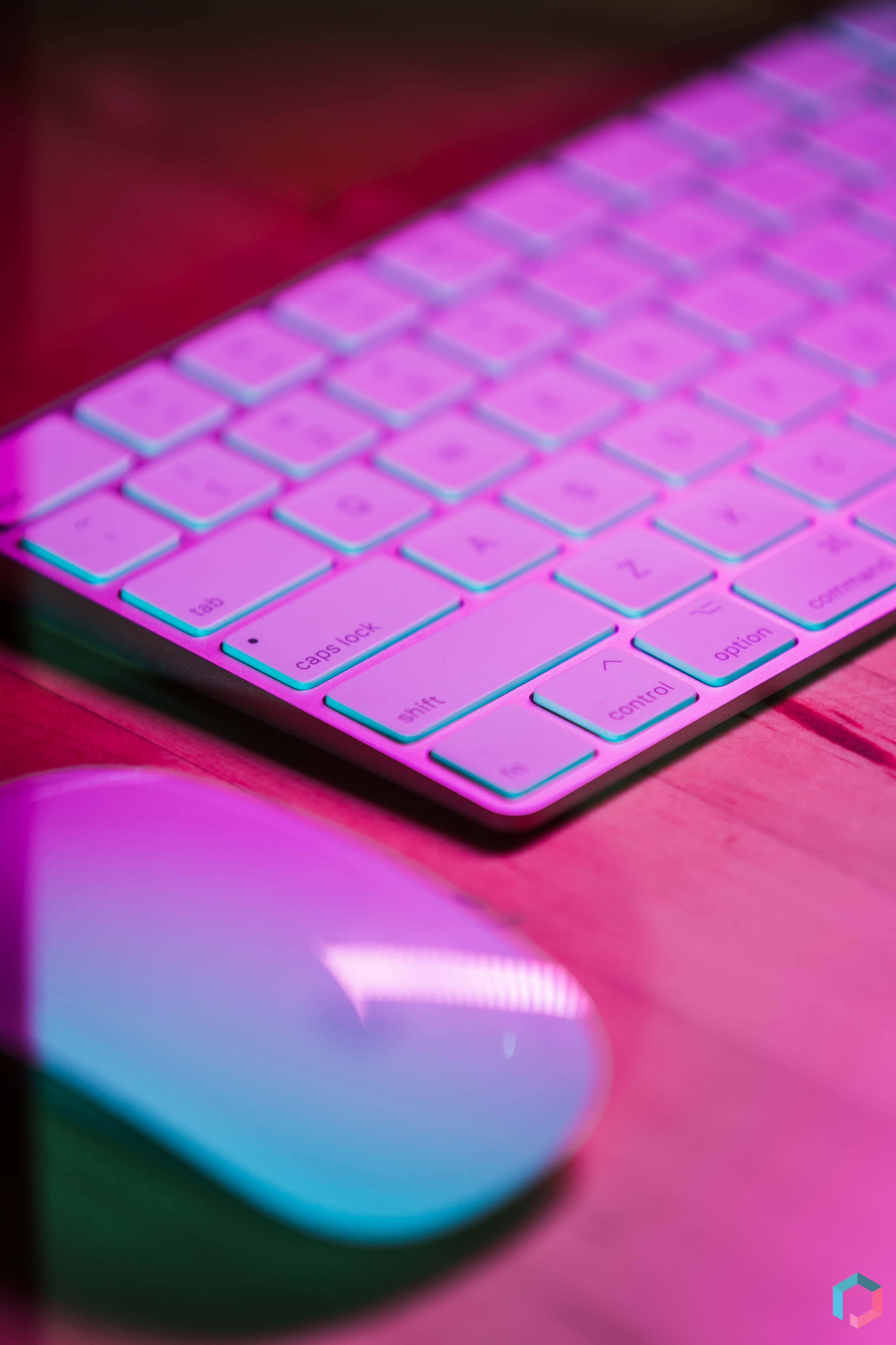 How Harley West Conquered Social Media: A Step By Step Guide - bwtjfgt
