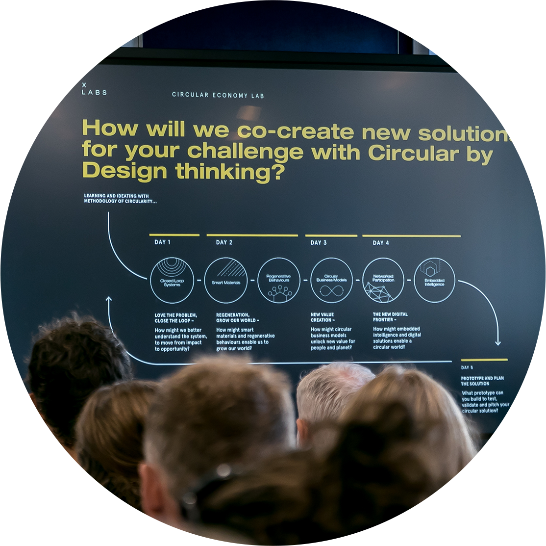 XLabs NZ | A Circular Economy Program for Businesses