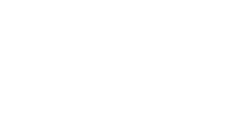 Bona Postulata award