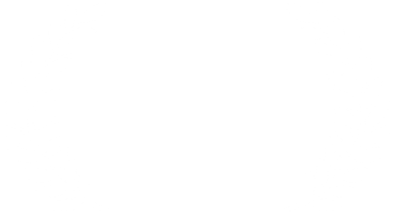 Guldmobilen award