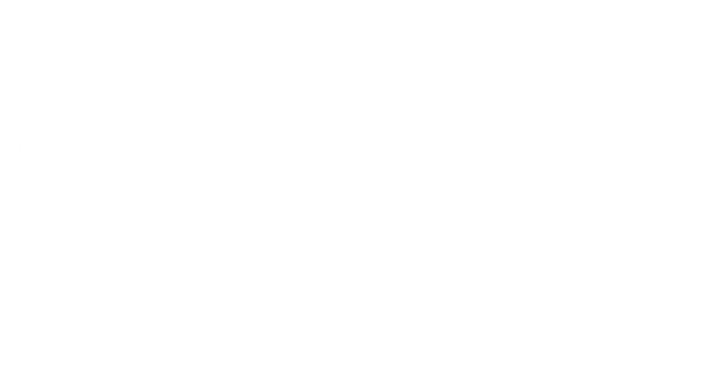 The Accessibility Award