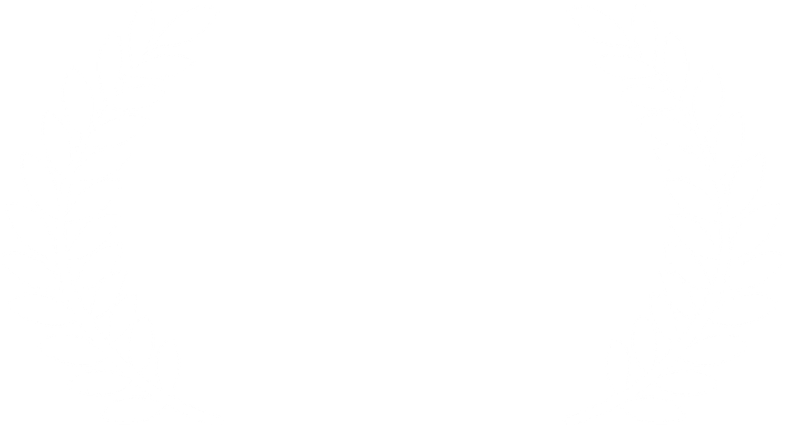Deloitte Fast50 award