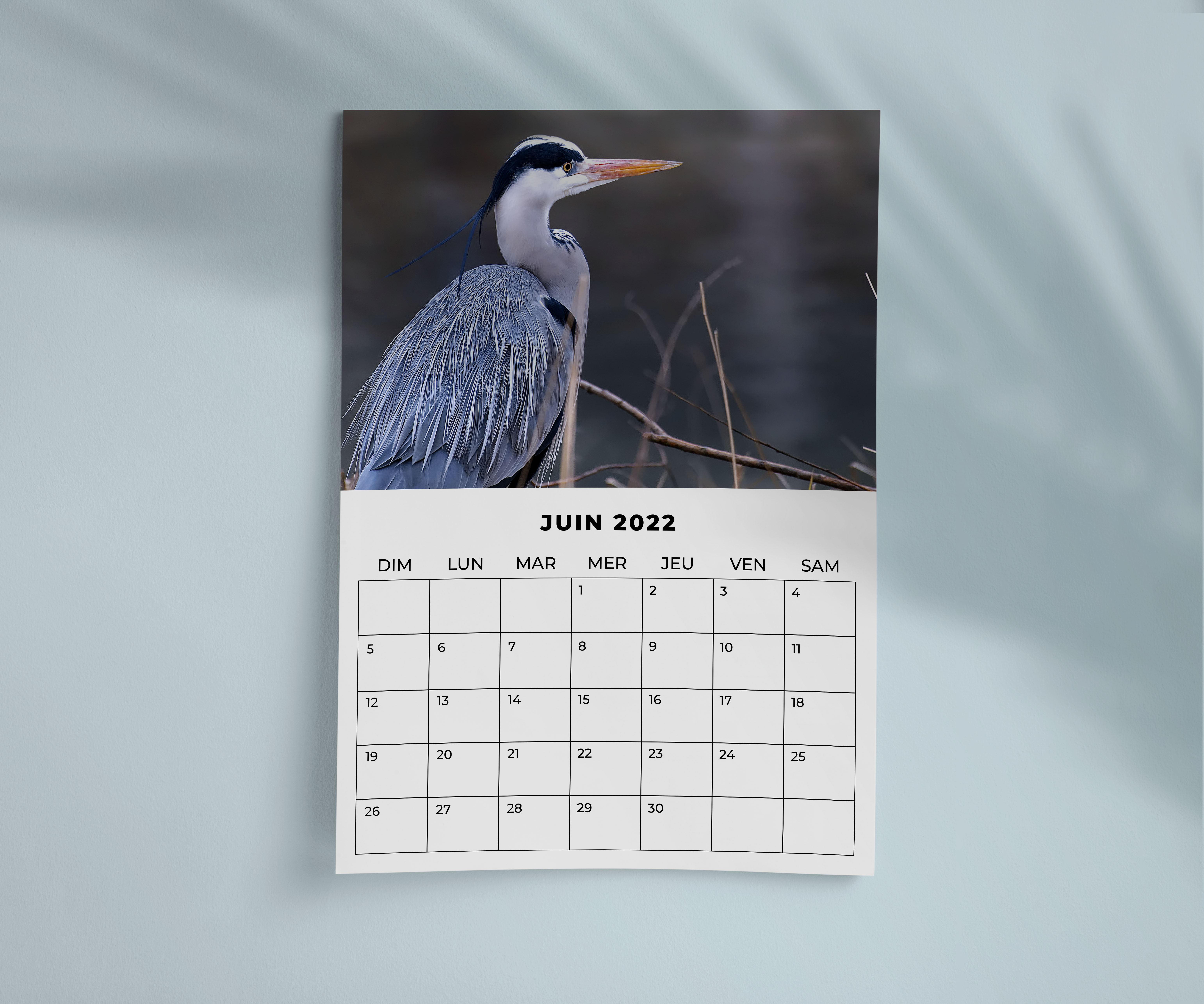 Calendriers muraux