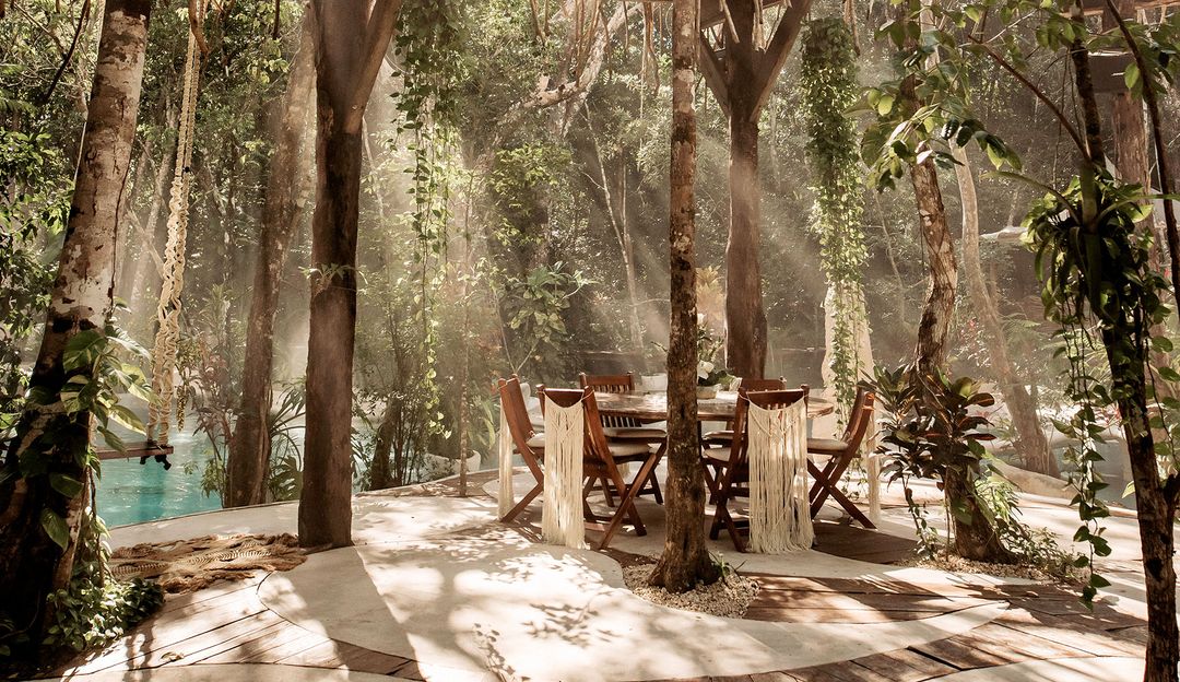 Jungle Cuisine by AZULIK AZULIK