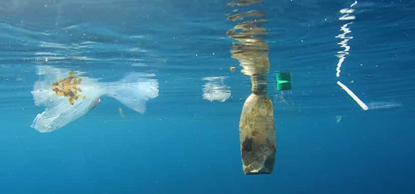 is bottled water bad