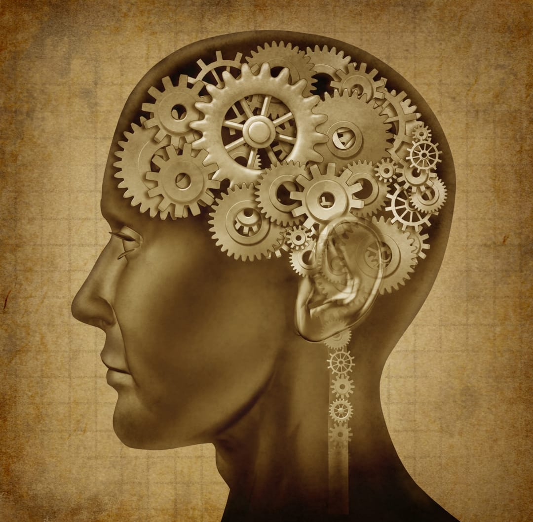 Бюст половина головы. Фараон аменхотеп 4 эхнатон. Голова человека. Макет головы человека. Голова человека в профиль.