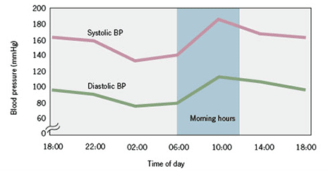 Blood pressure circadian rhythm