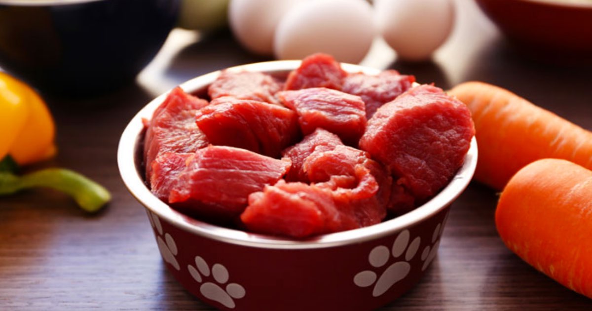 DIY balanced raw food diets Guides Big Dog Pet Foods