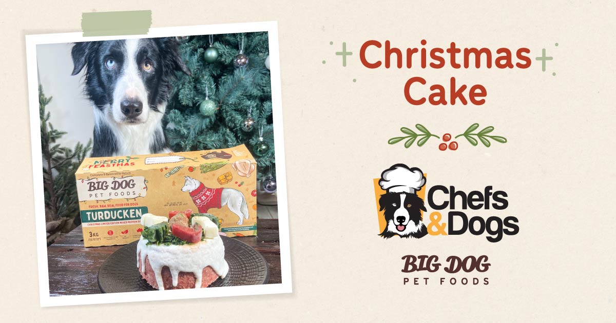 Christmas Cake Recipe Guides Big Dog Pet Foods