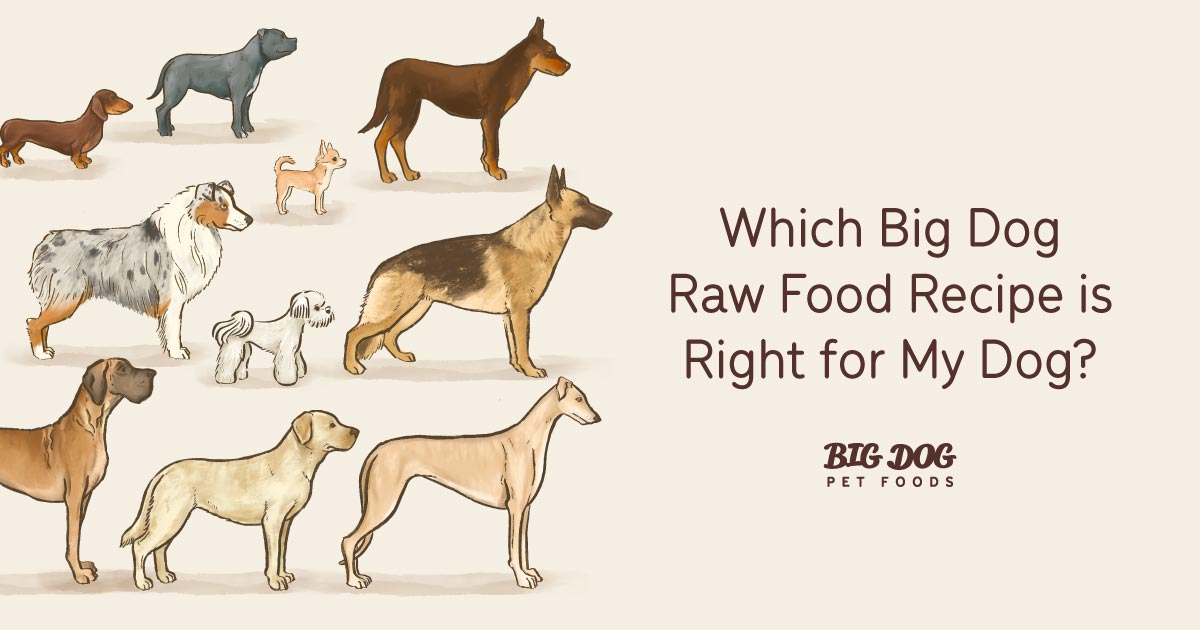Which Big Dog Raw Food Recipe is Right for My Dog? Guides Big Dog