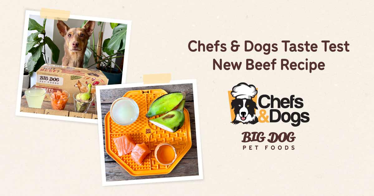 Chefs & Dogs Taste Test New Beef Recipe Guides Big Dog Pet Foods