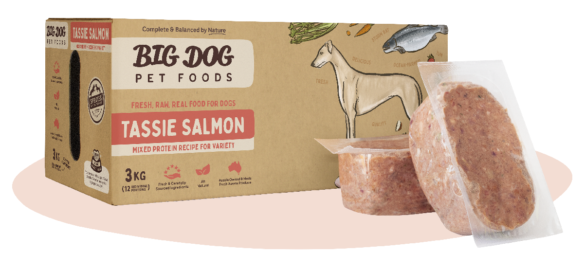 Tasmanian Salmon Raw Dog Food Products Big Dog Pet Foods
