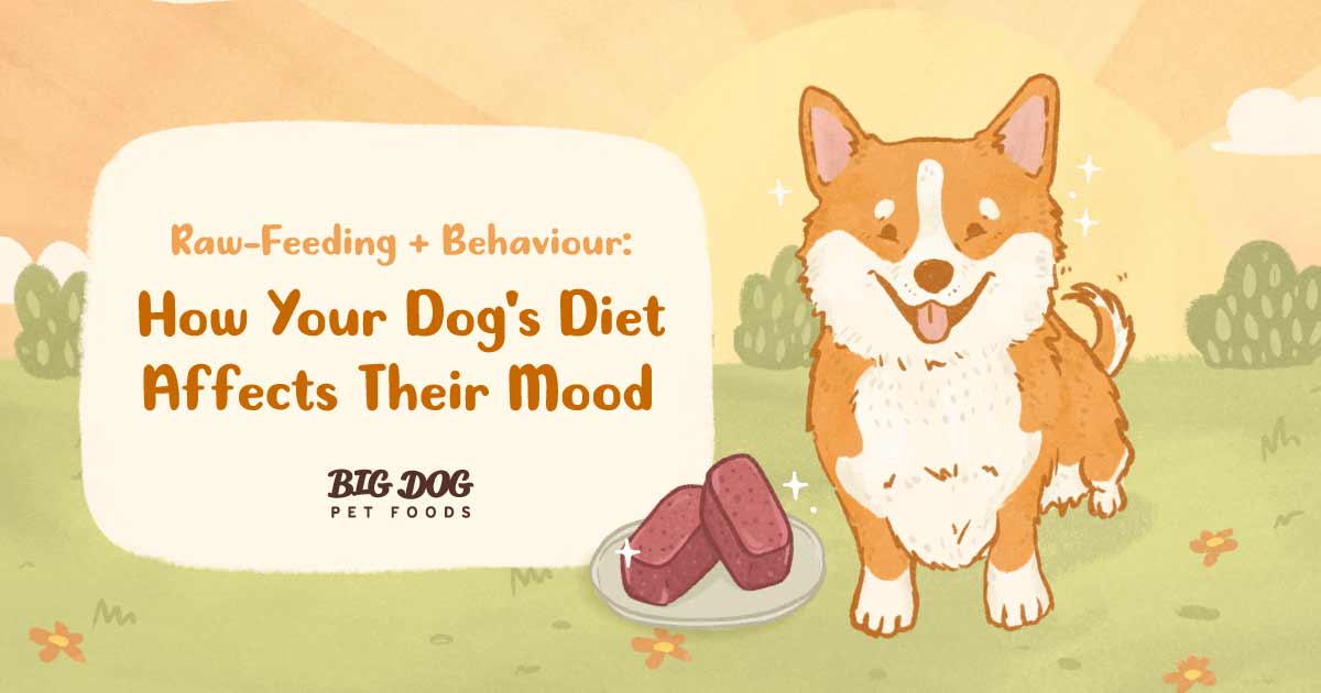 RawFeeding & Behaviour How Your Dog's Diet Affects Their Mood