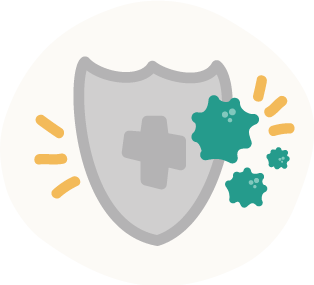 PDFRaw Meat Based Diets For Pets