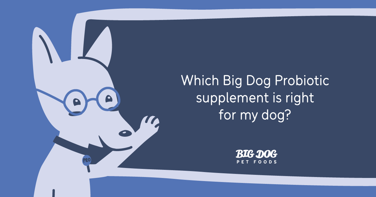 Which Big Dog Probiotic supplement is right for my dog? Guides Big