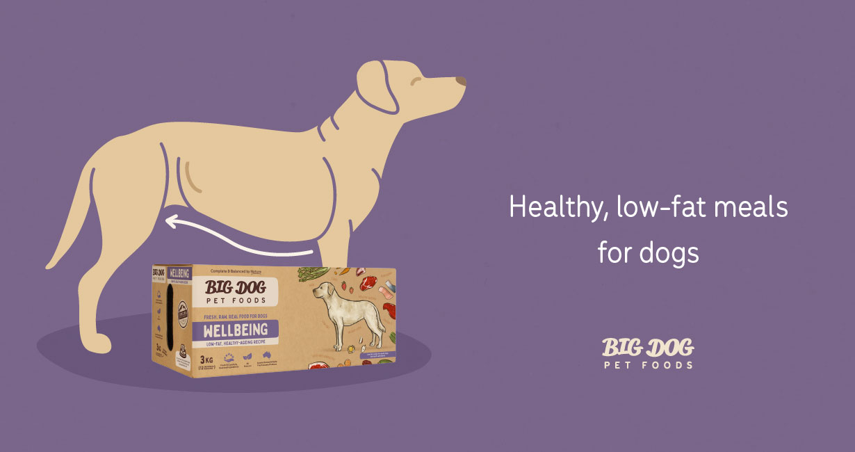 Healthy, lowfat meals for dogs Guides Big Dog Pet Foods