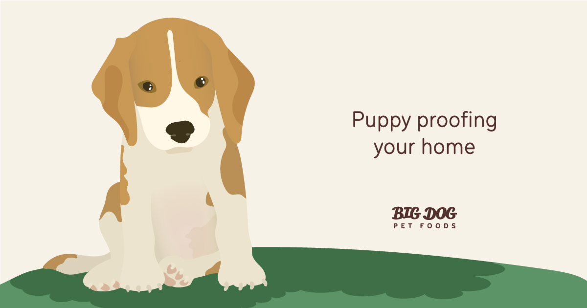 Fresh Look at Puppy Proofing Your Home Guides