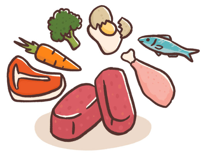 Why is my dog constipated? Guides Big Dog Pet Foods