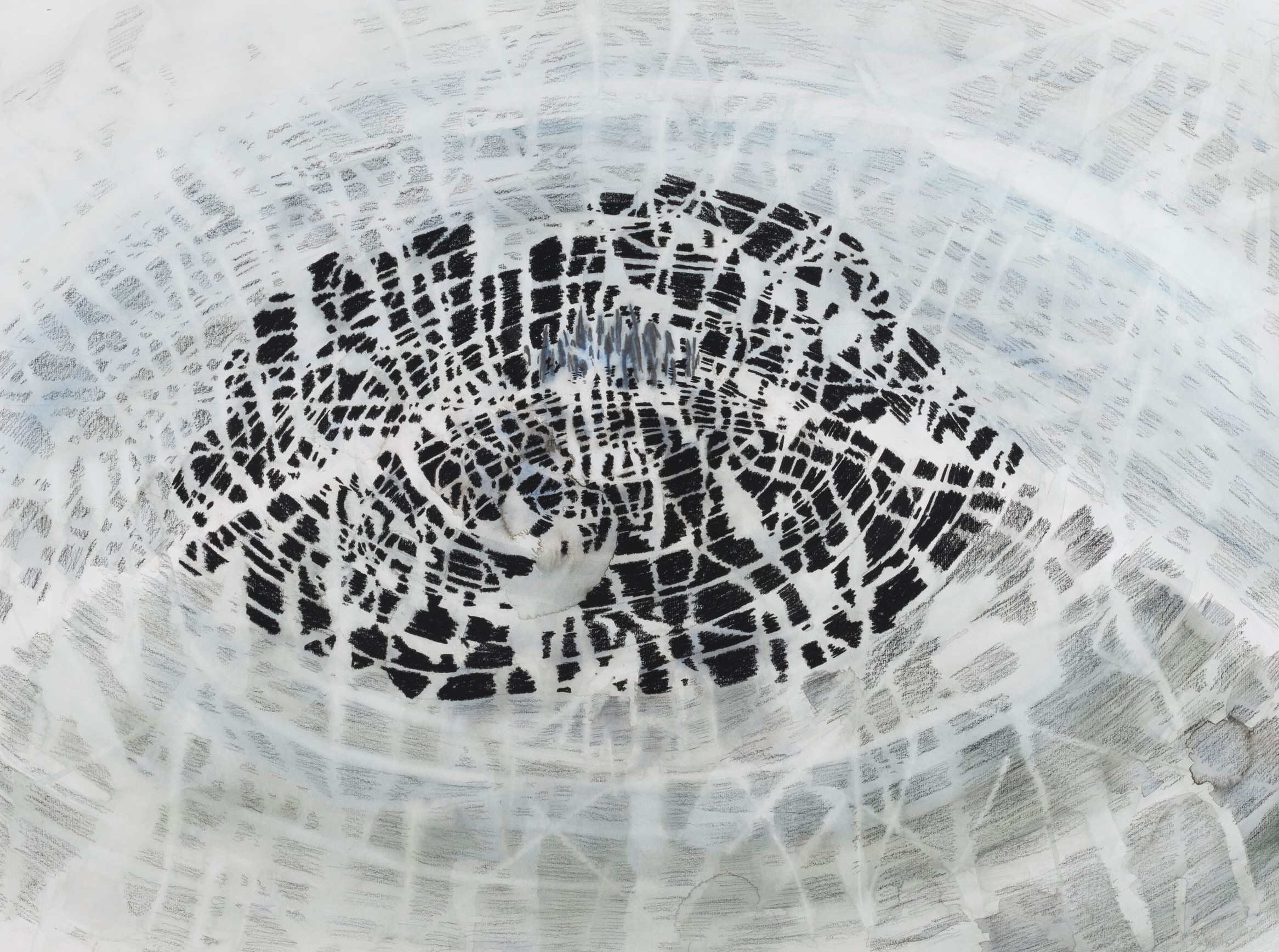 From the series: Line of Sight