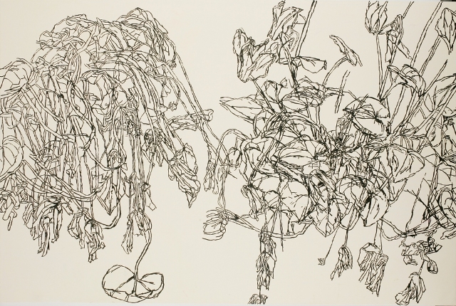 Sharon Poliakine, Arches