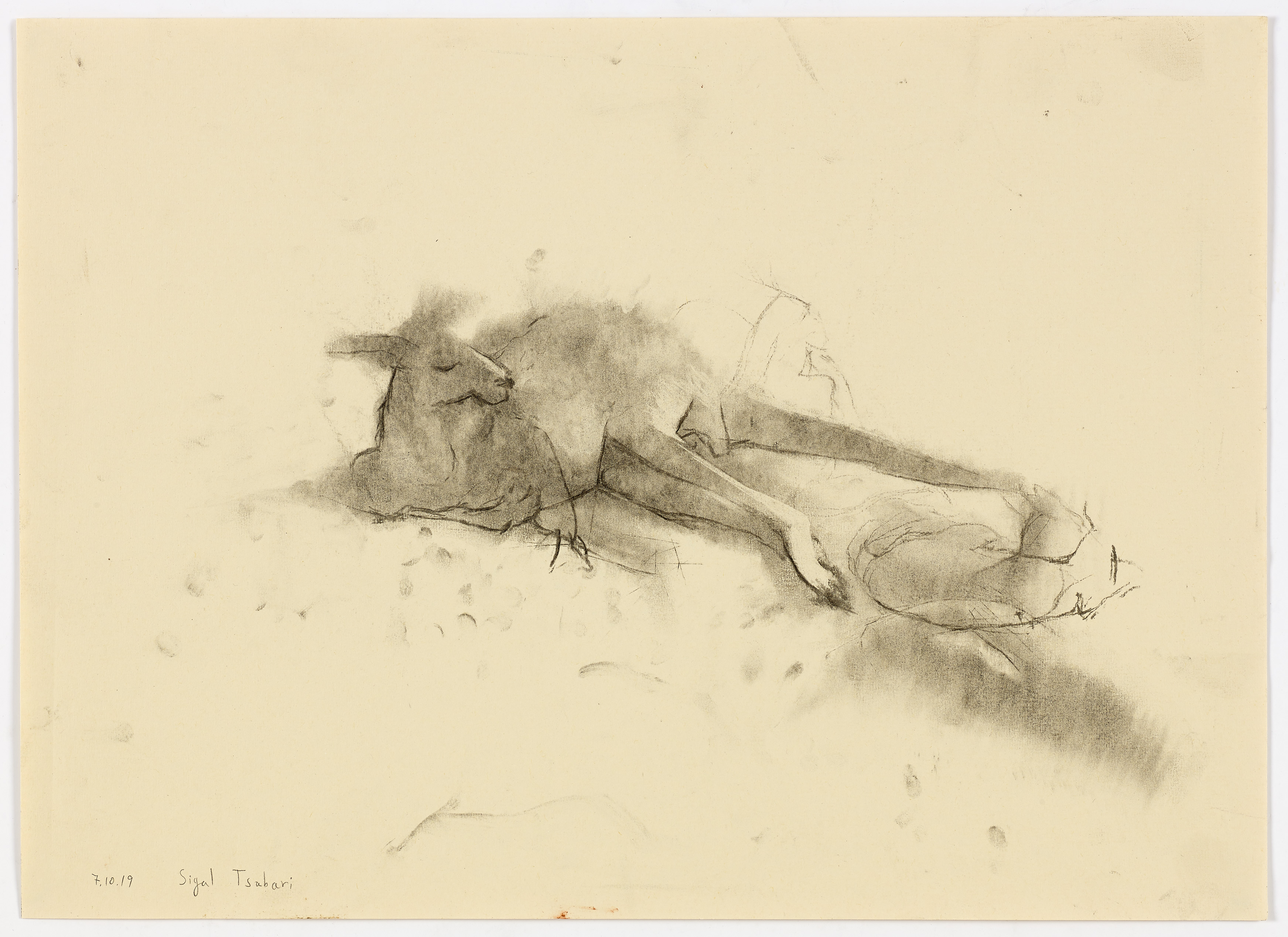 Lazing II, 07.10.2019