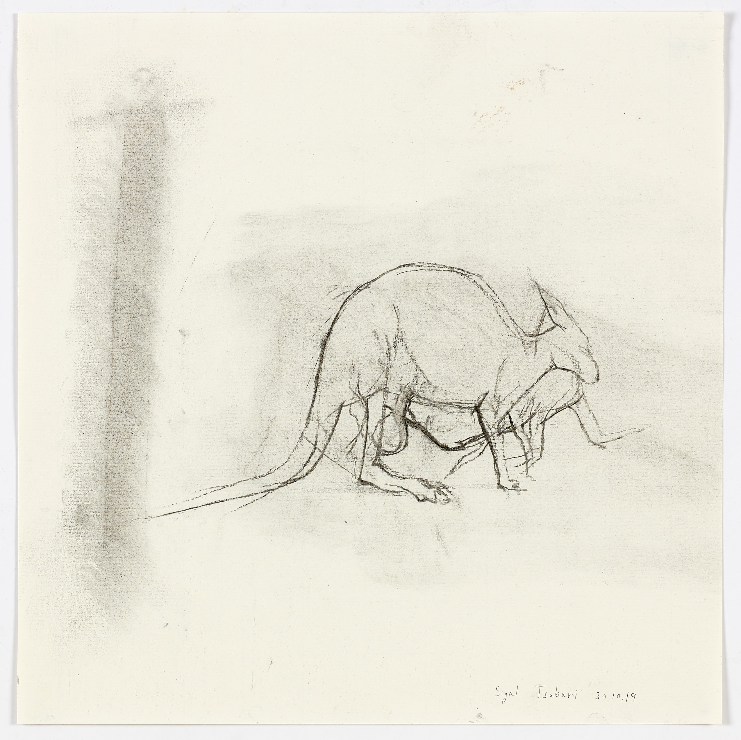 One Continuous Line, 30.10.2019