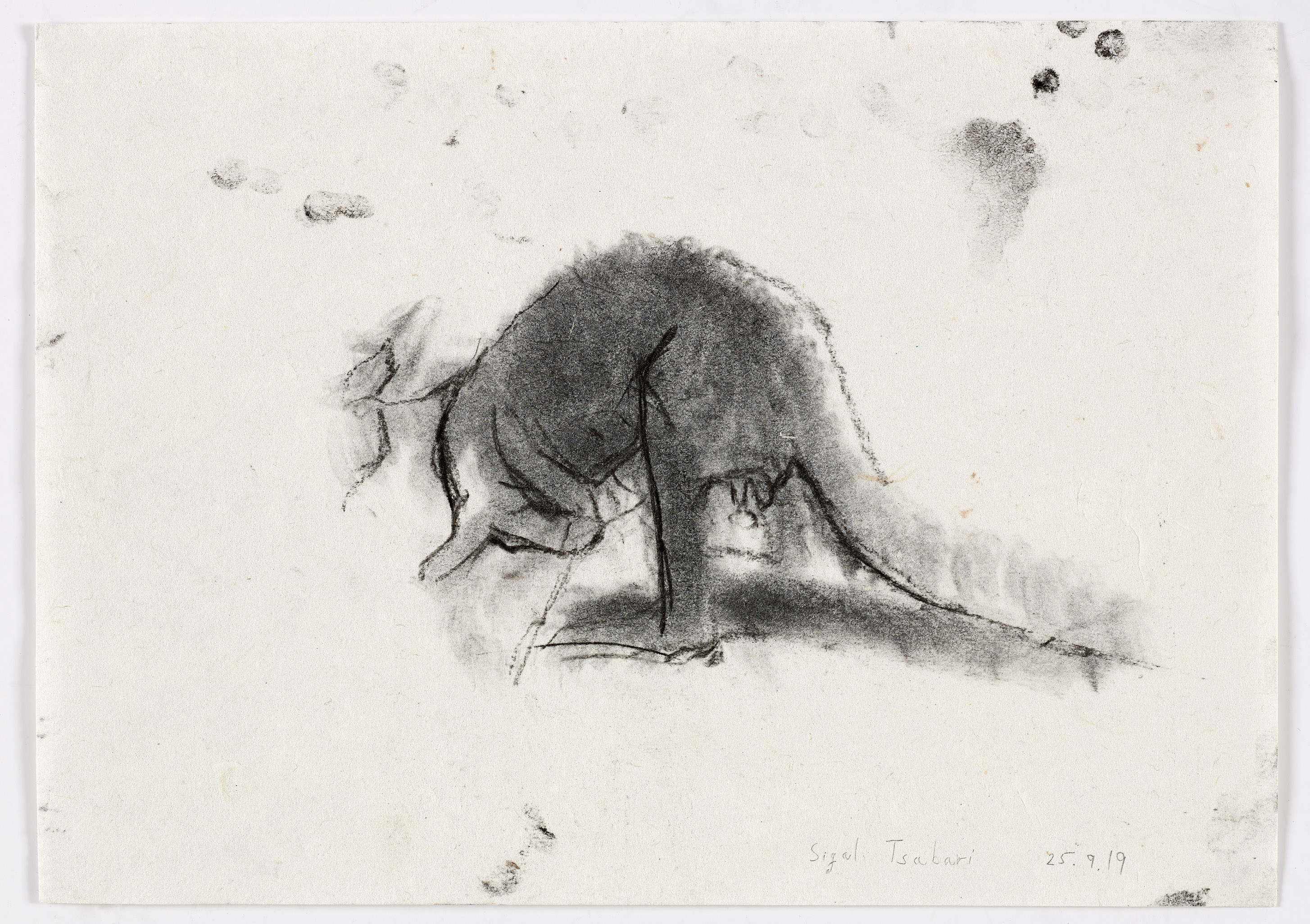 What is That, 25.09.2019