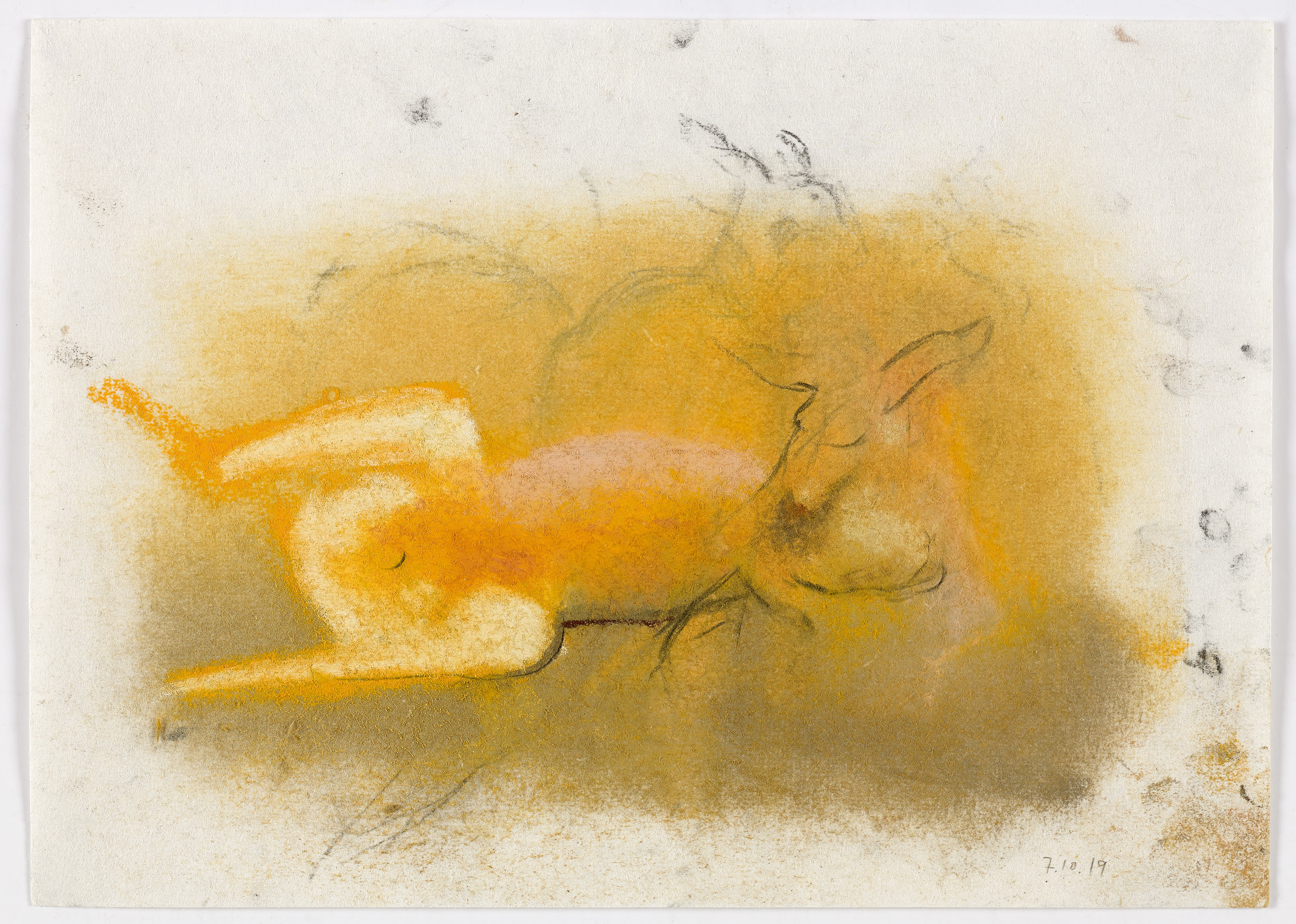 Immodest, 07.10.2019