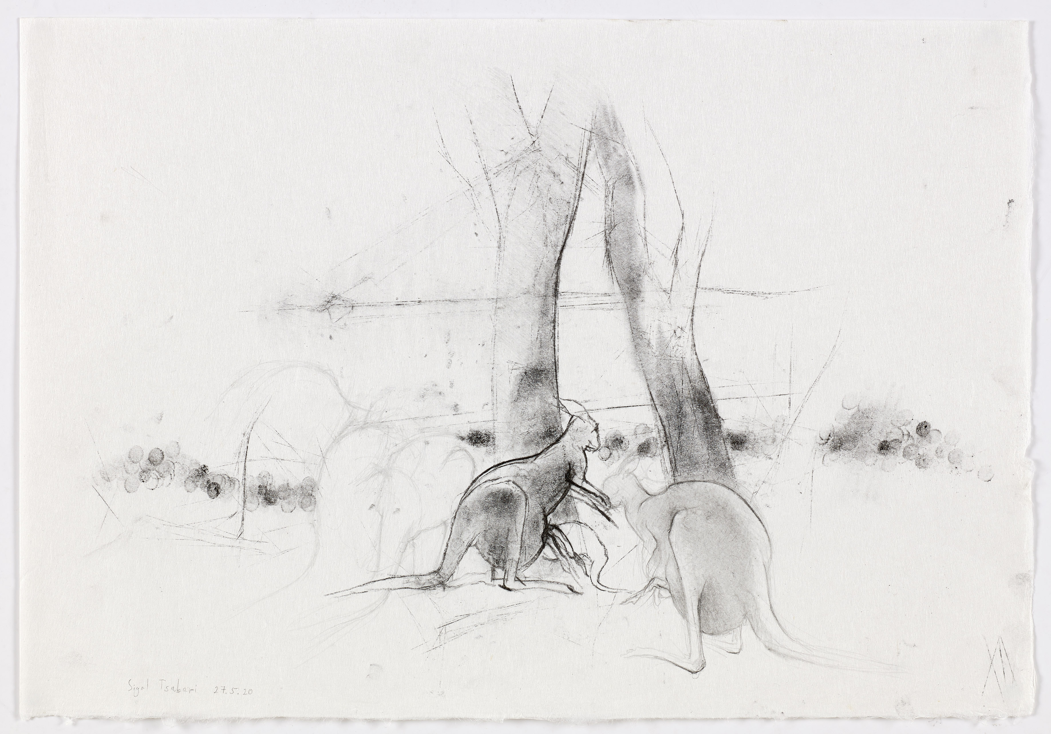 Motherlines, 27.5.2019