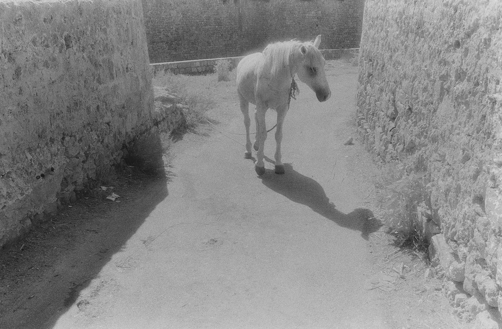 White Horse, Acre