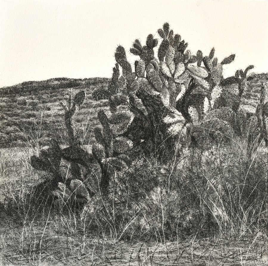 From The Landscape Series # 2