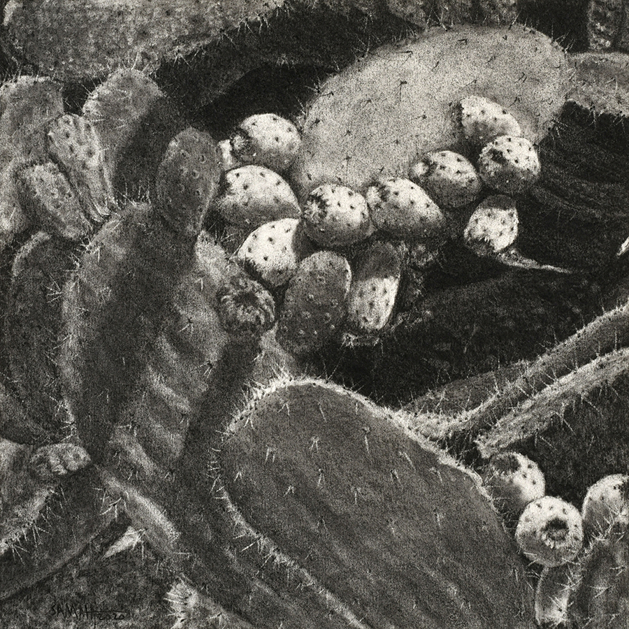 Samah Shihadi / From The Landscape Series # 3