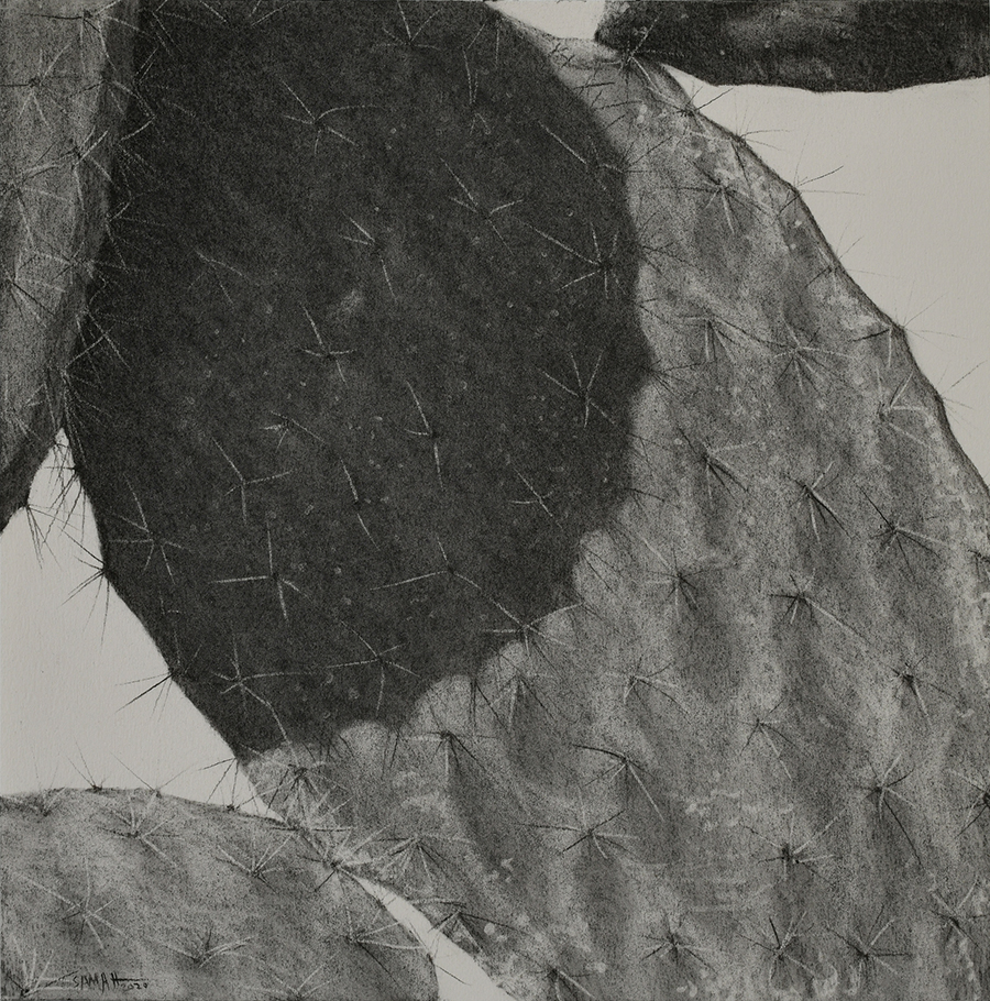 From The Landscape Series # 9