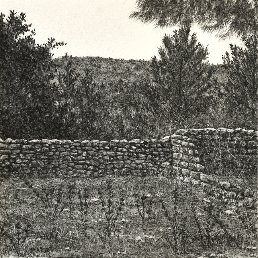 From The Landscape Series # 12