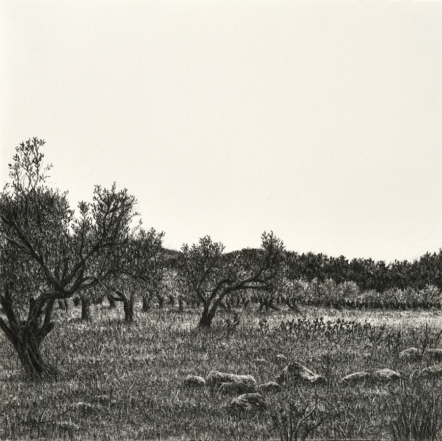 From The Landscape Series # 13