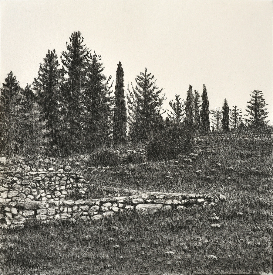 From The Landscape Series # 15