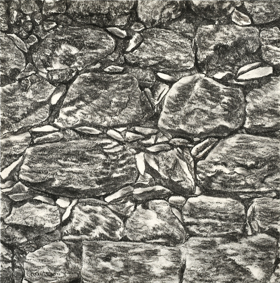 From The Landscape Series # 16