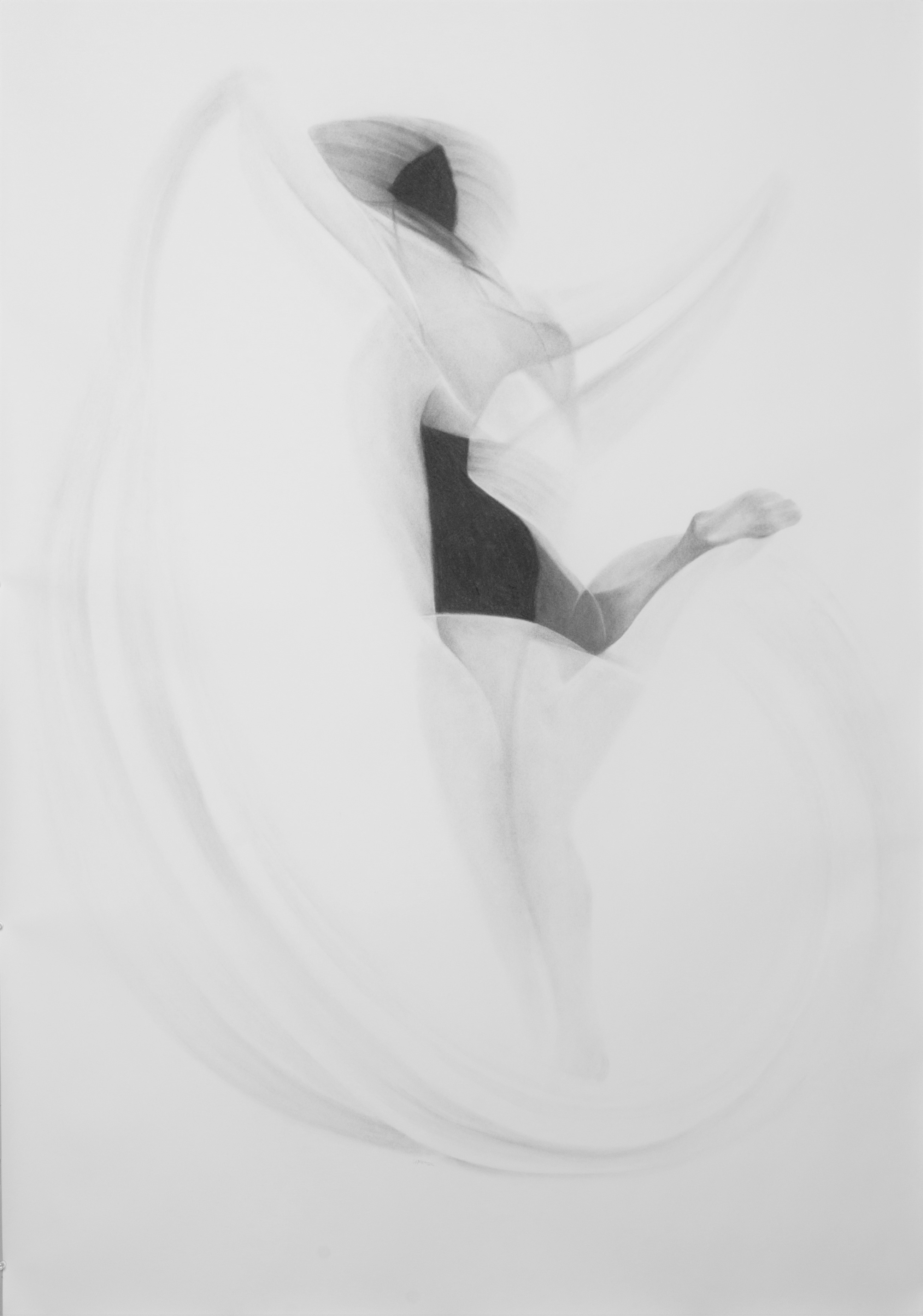 Shamah Shihadi / Disappearnce