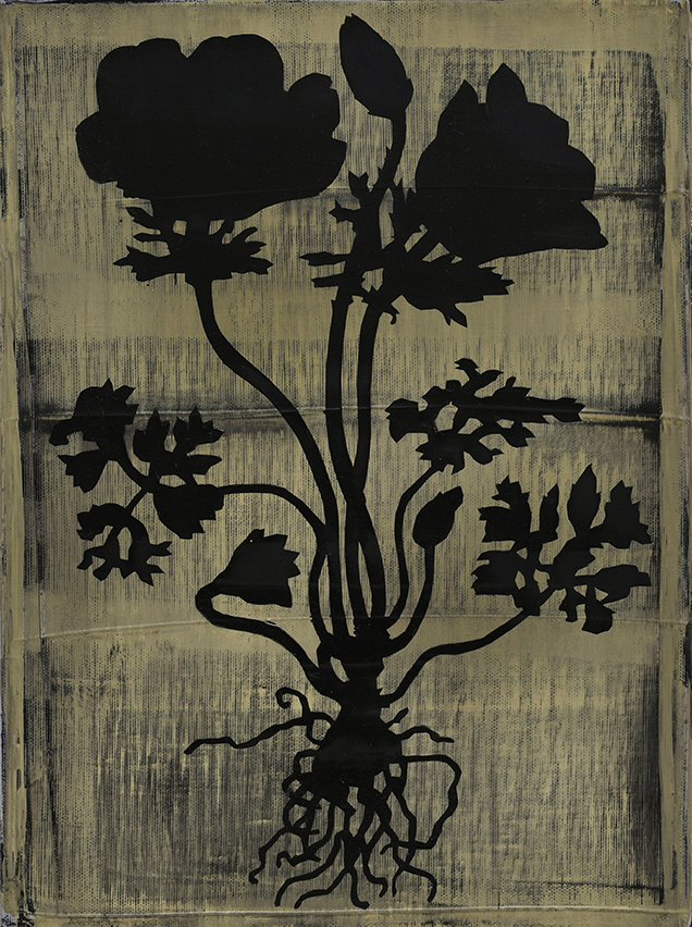 Gafno XLVI (Anemone)