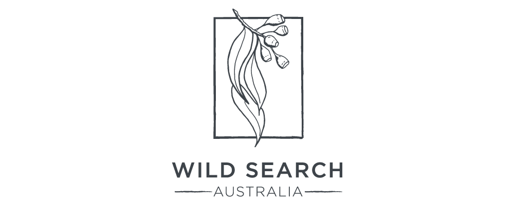 Wild Search Australia logo