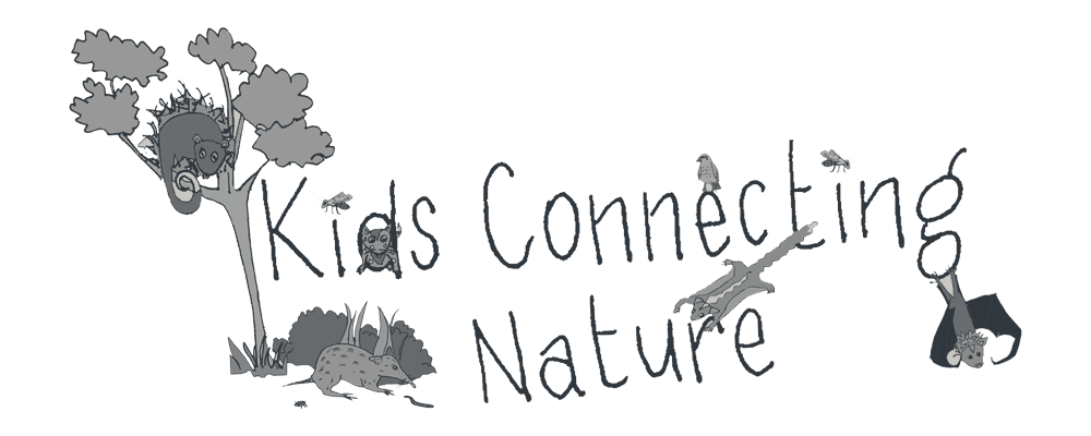 Kids Connecting Nature logo