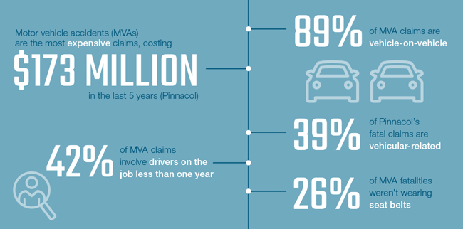 Motor vehicle accident stats