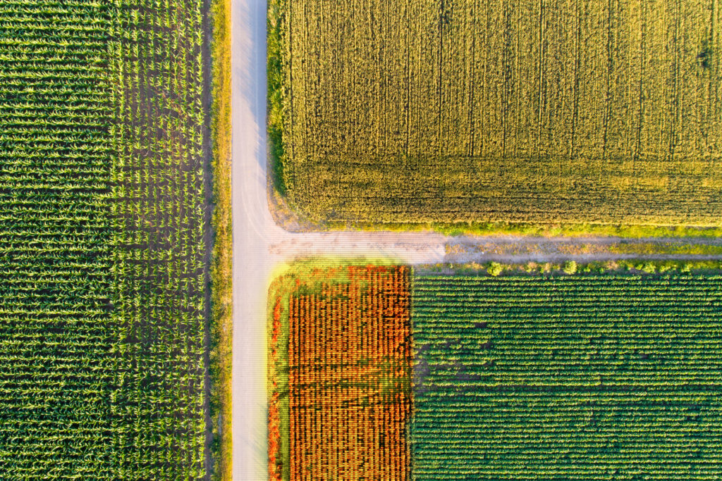 Arial photo of agriculture fields