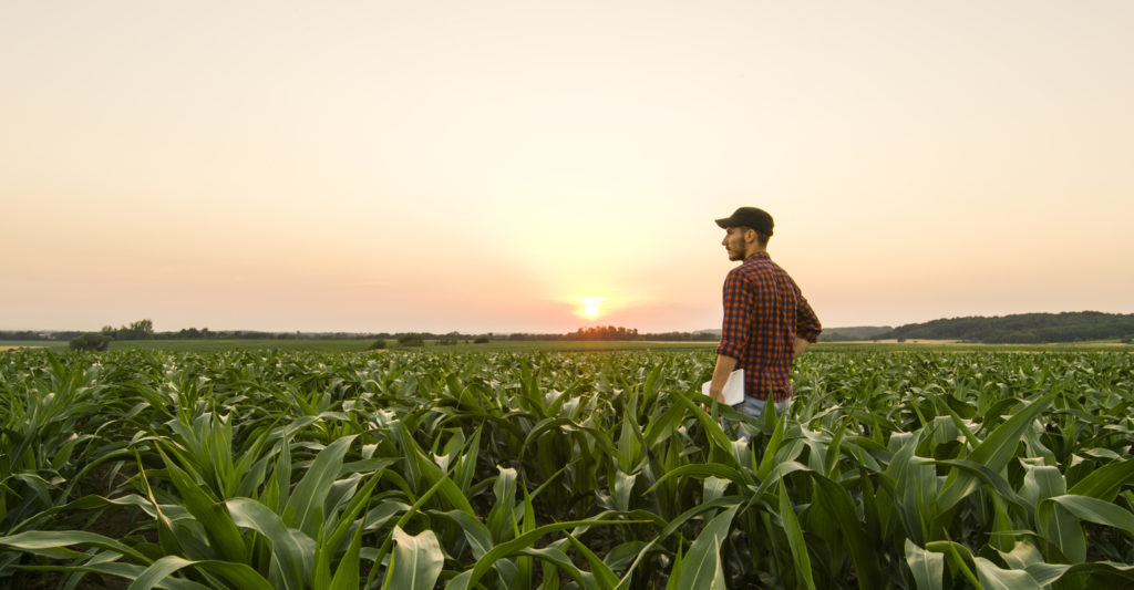 farmer in field