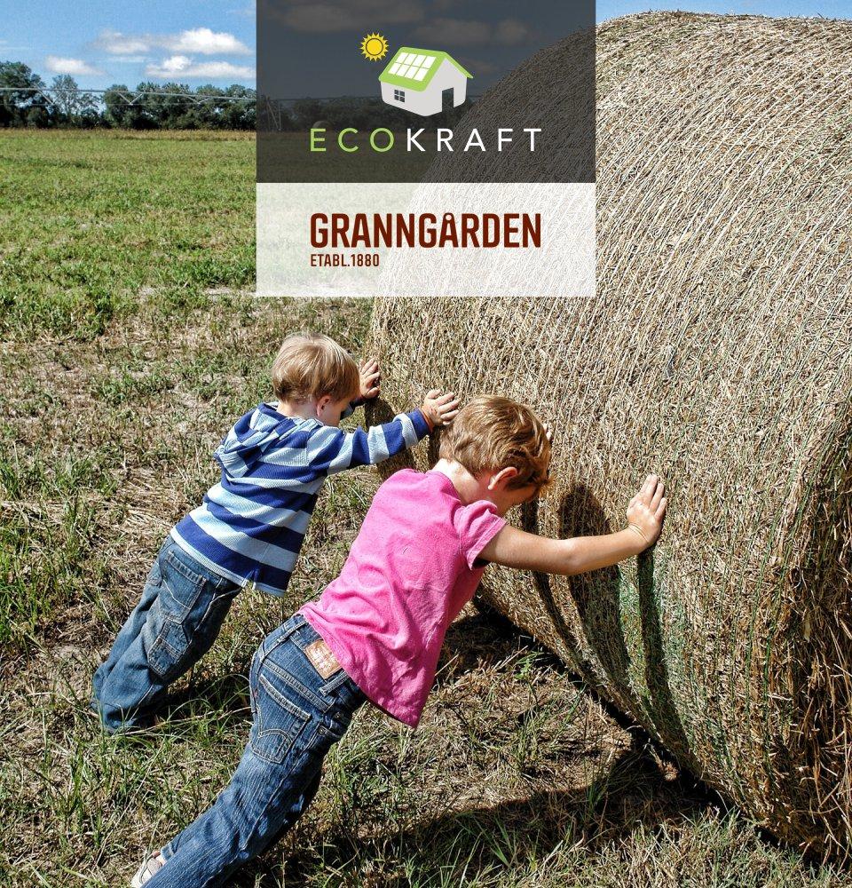 granngården samarbete bild